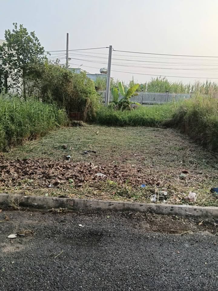 Đất thổ cư Cần Giuộc 60m² giá 680 triệu - Gần UBND Phước Hậu, xây dựng tự do!