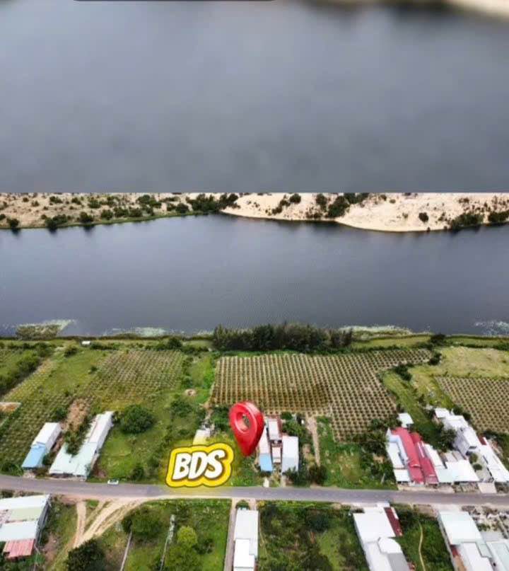 Đất nền thổ cư 430m² mặt tiền đường DT 716 - Giá chỉ 2 tỷ - Đầu tư sinh lời ngay!