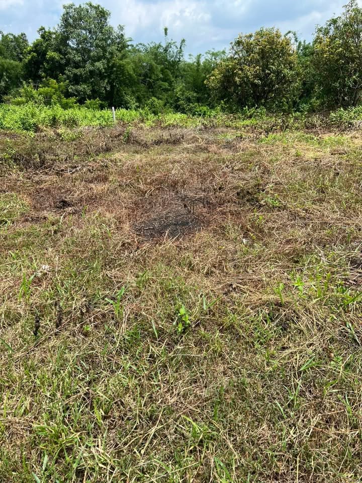 Đất nền ấp 5 Gia Canh 360m² giá chỉ 280 triệu - Cơ hội đầu tư tuyệt vời!