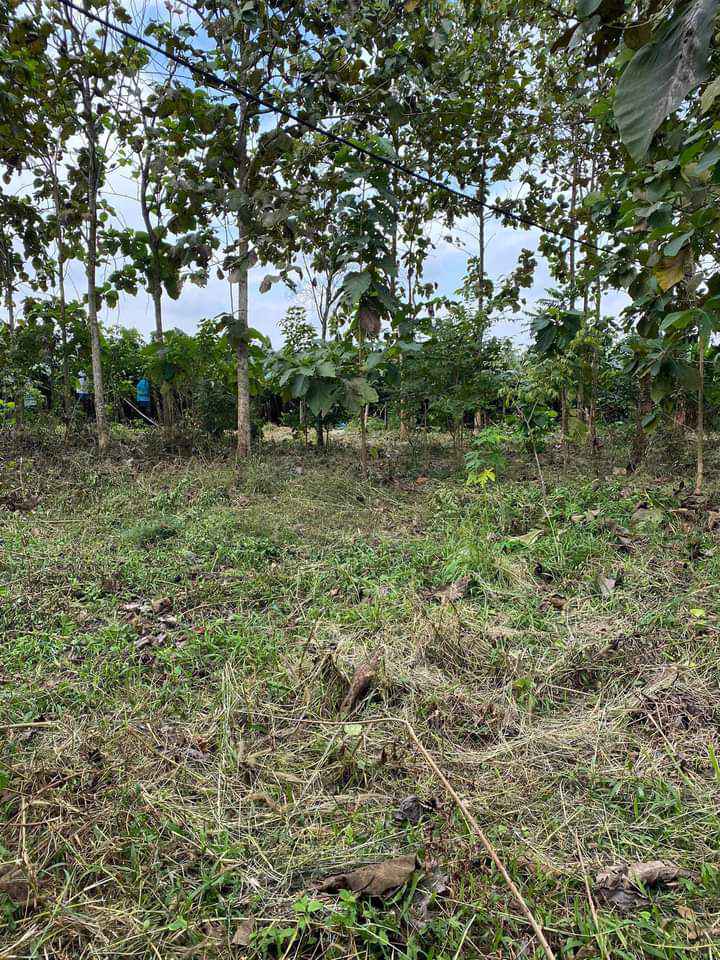 Đất nền 2 sào xã Phú Vinh, Định Quán, Đồng Nai - Giá chỉ 1.4 tỷ, thương lượng ngay!