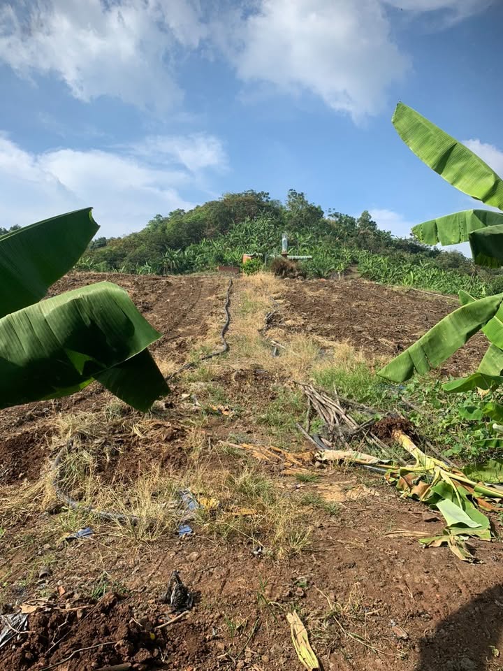 Đất Bàu Hàm 2, Thống Nhất, 4559m² chỉ 6.838 tỷ - Đầu tư sinh lời!