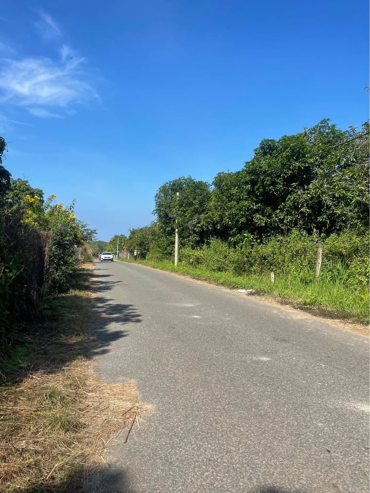 Đất nền mặt tiền đường nhựa xã Ngọc Định 1600m² giá 950 triệu - Đầu tư sinh lời hấp dẫn!