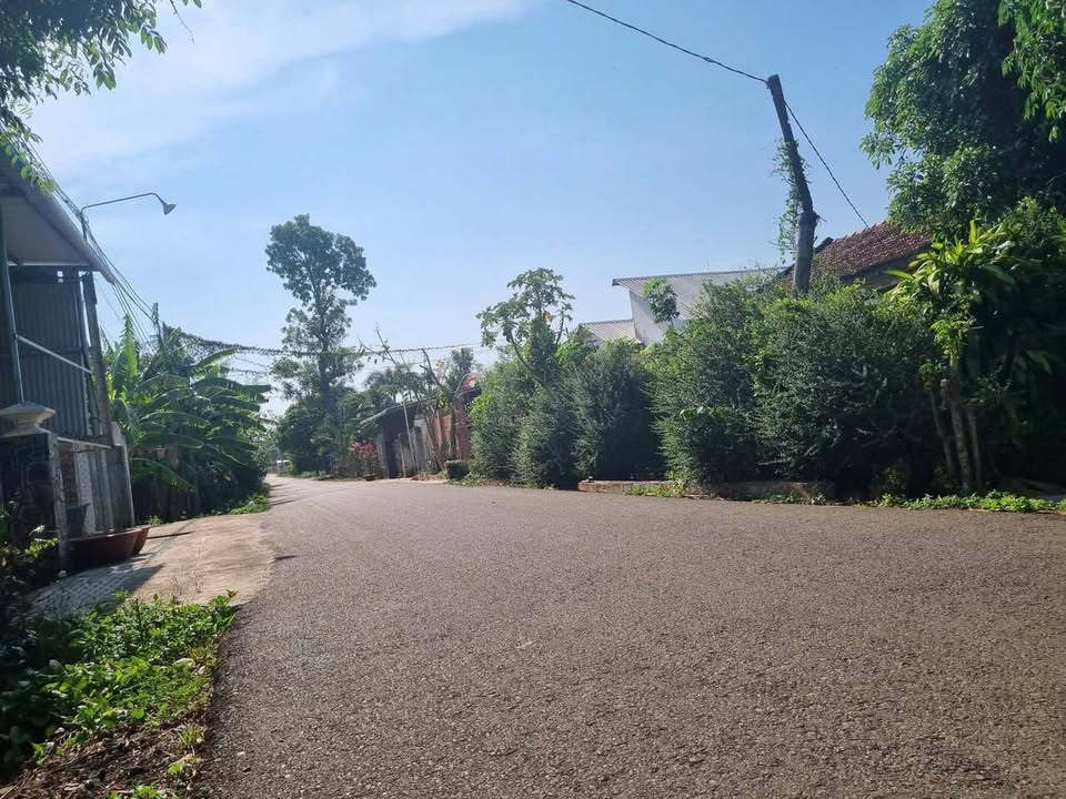 Lô đất đường Bình Giã, Đất Đỏ 715m² giá 2.25 tỷ - Đầu tư sinh lời ngay!