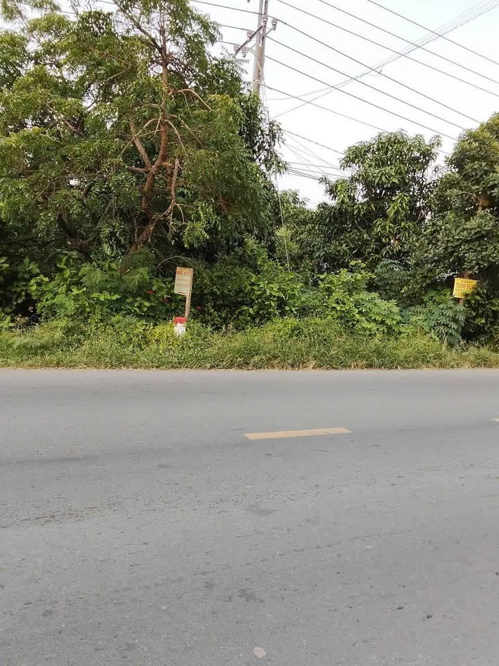 Đất thổ cư 936m² mặt tiền Tân Hồng, Đồng Tháp - Tiềm năng đầu tư lớn!