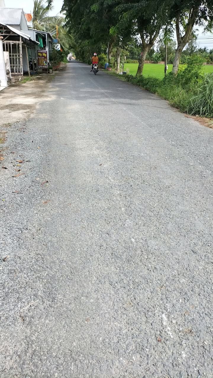 Đất thổ cư 5000m² Đốc Binh Kiều - Giá chỉ 270 triệu, mặt tiền đường nhựa!