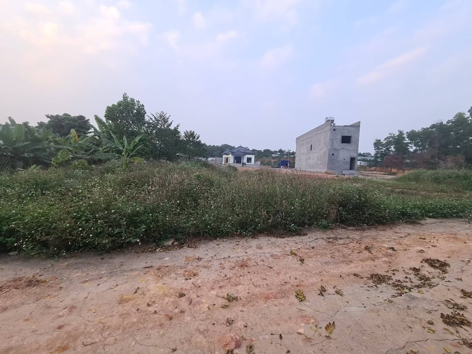 Đất nền thôn Sơn Đông, Kim Long, 135.5m² giá chỉ từ 800 triệu - Cơ hội đầu tư hấp dẫn!