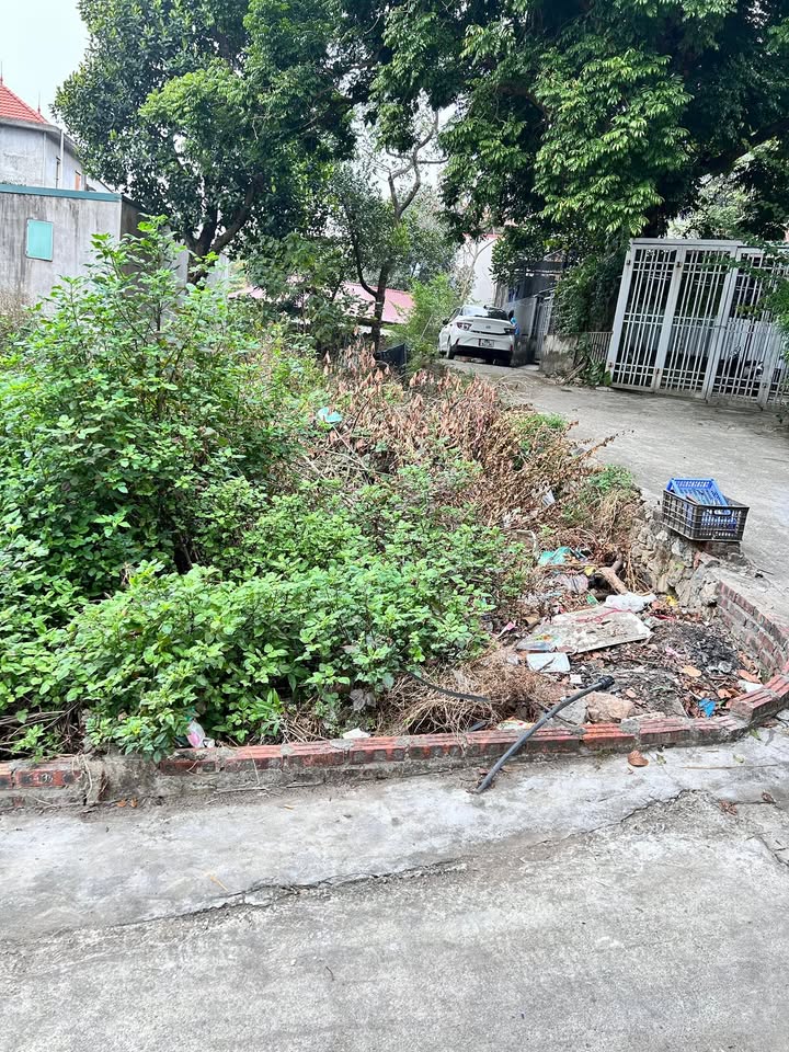 Đất nền lô góc Hoàn Sơn, Tiên Du, Bắc Ninh 71.1m² giá chỉ 1 tỷ - Sổ đỏ chính chủ!