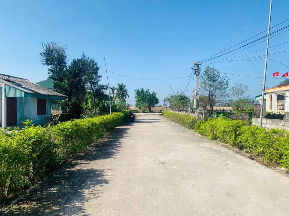 Đất nở hậu thôn Thanh Quang, Thạch Lạc 208m² giá 1,7 tỷ - Cơ hội đầu tư tuyệt vời!