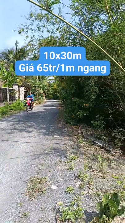 Đất nền tại Mỹ Phước Tây, Cai Lậy 300m² - Đầu tư sinh lời tiềm năng!