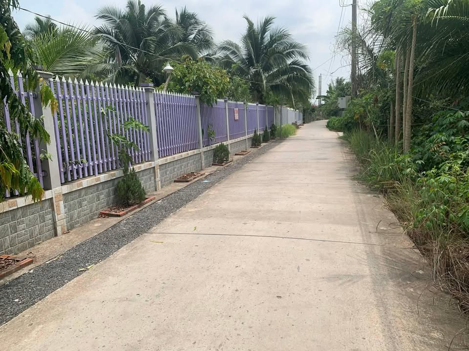 Đất vườn dừa bưởi 1739m² tại Quới Sơn, Châu Thành, Bến Tre - Giá chỉ 2,087 tỷ!