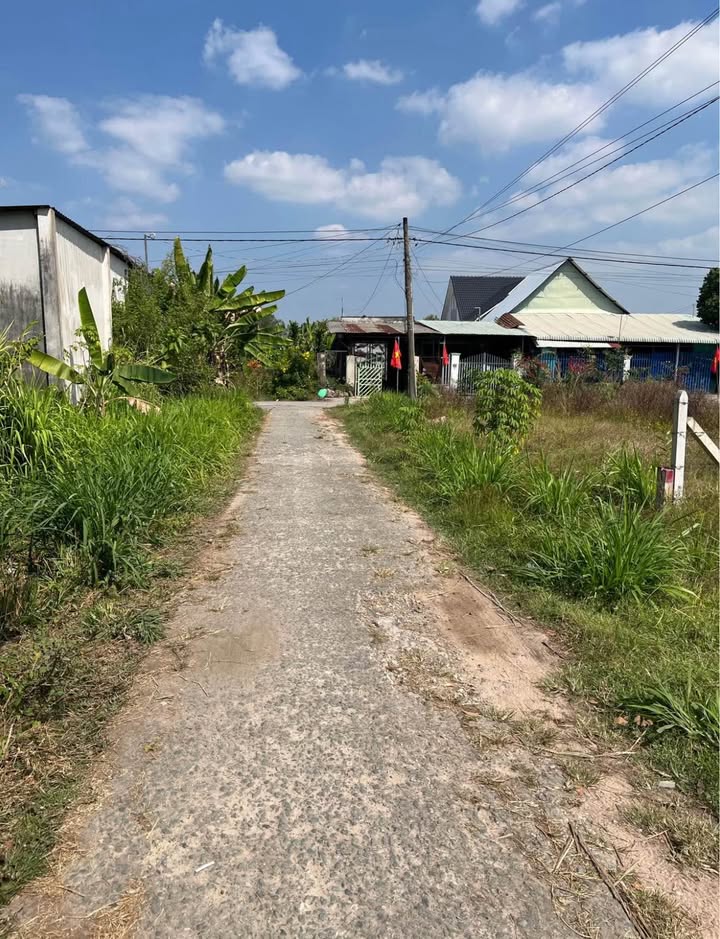 Đất thổ cư Trung Lập Hạ Củ Chi 98m² giá 1.38 tỷ - Đầu tư sinh lời tuyệt vời!