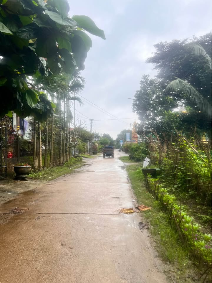 Đất ở Duy Trinh, Duy Xuyên 105m² giá 560 triệu - Mặt tiền đường chính kinh doanh