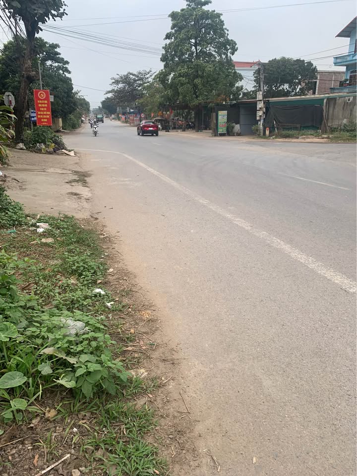 Đất nền Quỳnh Lưu Ninh Bình 120m² giá 2.3 tỷ - Gần trường học và chợ