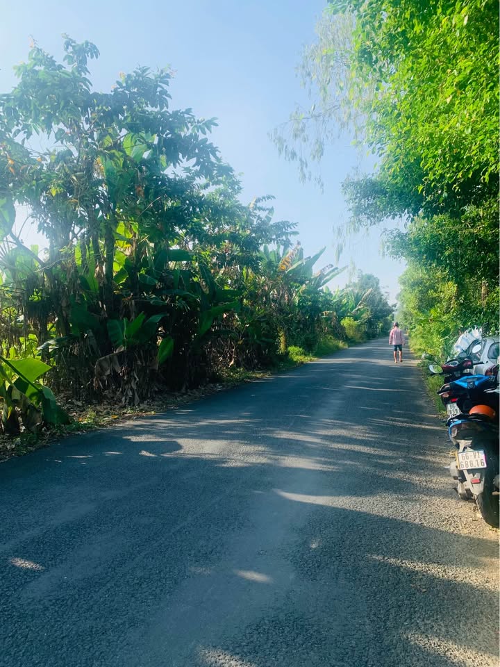 Đất nền Huyện Lộ 30/4 Định Hoà Lai Vung 600m² - Mặt tiền đường nhựa thông thoáng