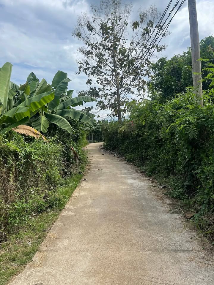 Đất nền Tân Phú 504.9m² giá 640 triệu - Đầu tư lý tưởng cho tương lai!