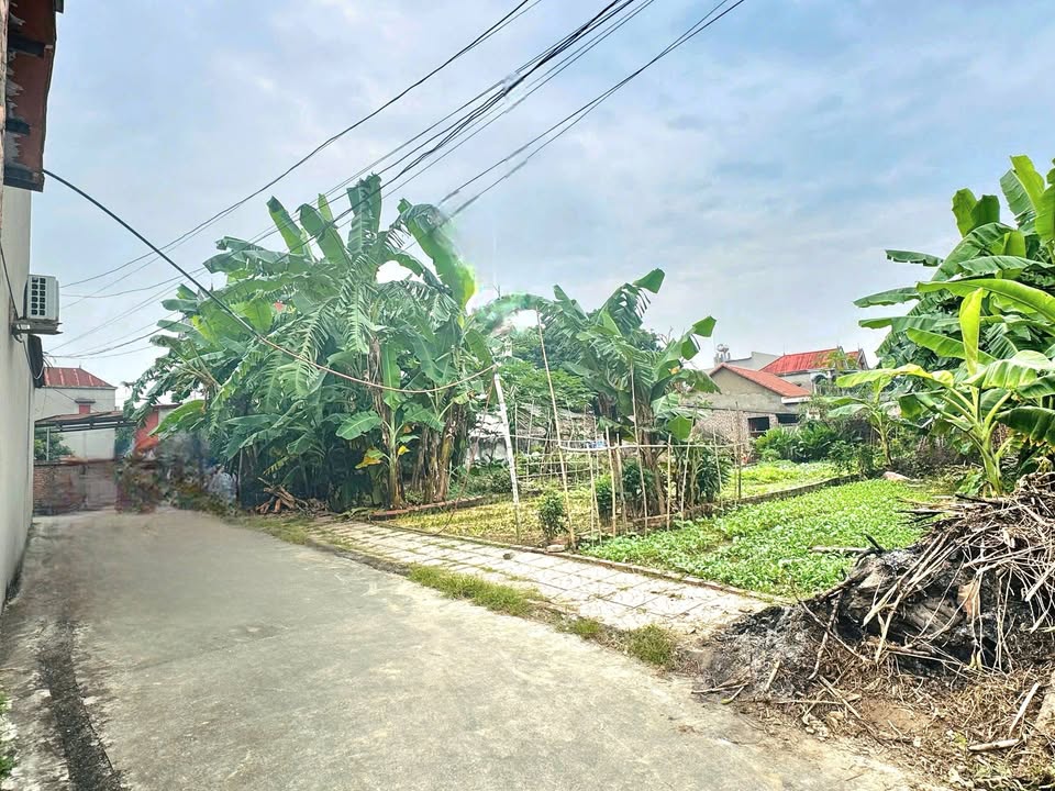 Đất nền Lãng Sơn - Yên Dũng 117m² giá chỉ 8xx triệu - Đầu tư sinh lời ngay!