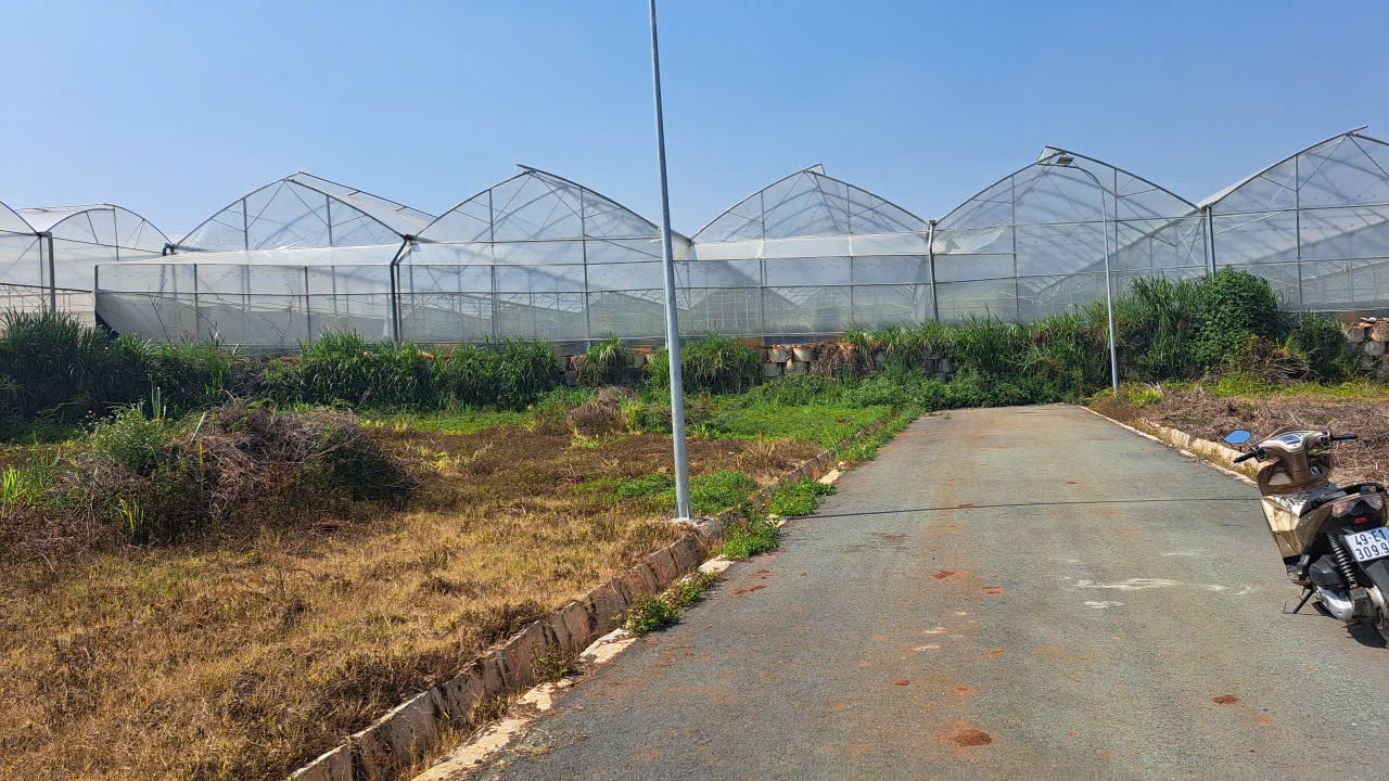 Đất thổ cư Đơn Dương 150m² giá 550 triệu - Vị trí đắc địa gần nhà thờ