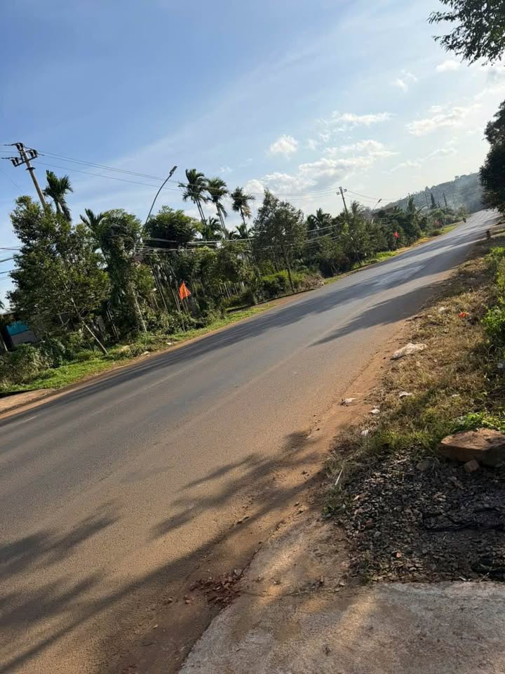 Đất nền mặt tiền Quốc Lộ 14, phường Thiện An, 480m² - Vị trí đẹp, tiềm năng phát triển!