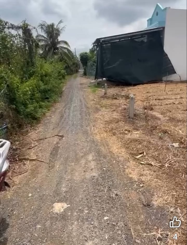 Đất nền Ấp 1 - Gia Thuận, Gò Công Đông 113m² giá chỉ 250 triệu - Cơ hội đầu tư hiếm có!