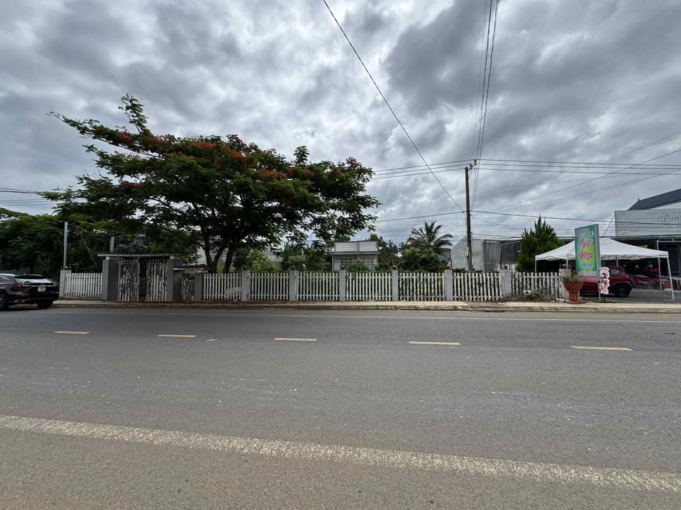 Đất mặt tiền đường DT724, Tân Hội, Đức Trọng 3072m² - Đầu tư kinh doanh sinh lợi!