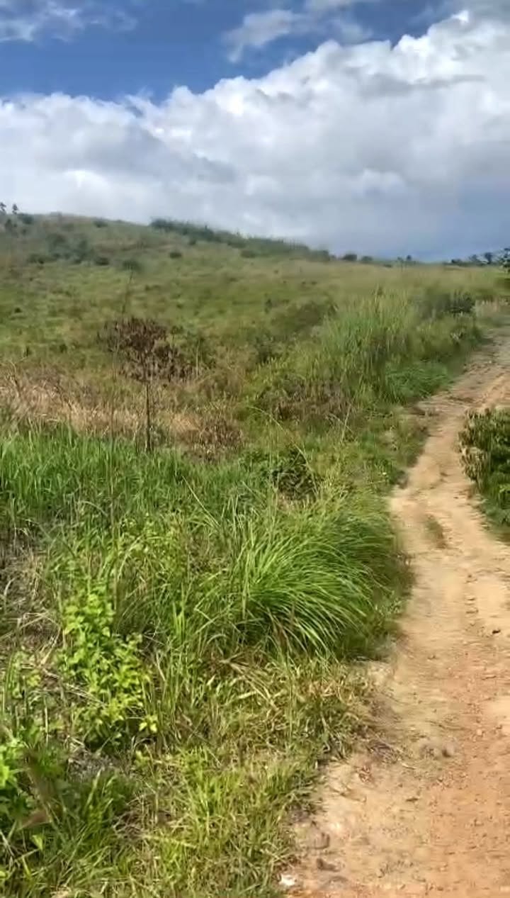 Cho thuê farm 5ha tại Tân Văn - Lâm Hà giá 180 triệu/năm - Đầy đủ tiện nghi!