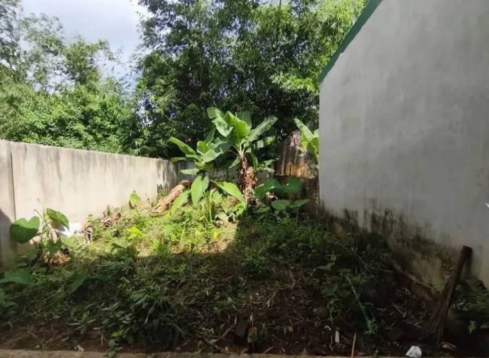 Nhà phố đường Nguyễn Trường Tộ, Ea Tam, 150m² giá 890 triệu - Pháp lý rõ ràng, thương lượng!