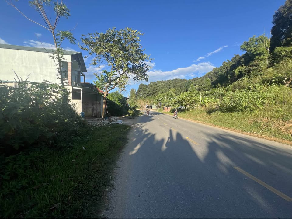 Đất nền Bản Nà Tấu 3, xã Nà Tấu 358.8m² - Mặt tiền Quốc lộ 279, kinh doanh thuận lợi!