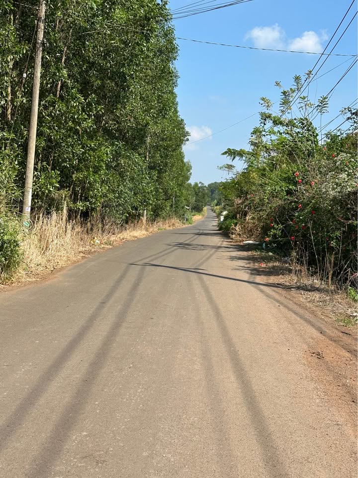 Đất Hưng Thịnh, Trảng Bom, 2650m² - Mặt tiền đường nhựa, sổ đỏ chính chủ!