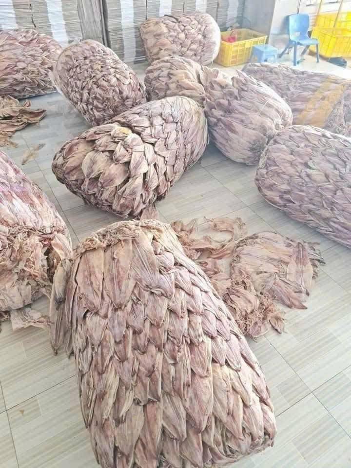 Đất thổ cư Trảng Dài, Biên Hòa 62m² - Giá tốt, xây nhà bán ngay!