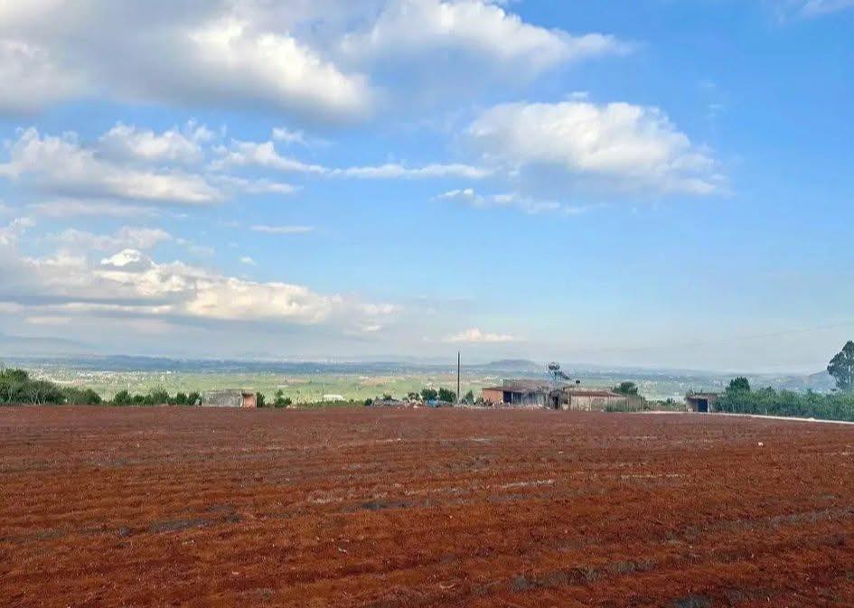 Đất thổ cư Đinh Văn Lâm Hà 140m² giá 350 triệu - Sổ hồng chính chủ, công chứng ngay!