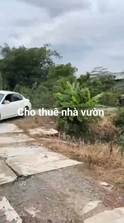 Cho thuê nhà vườn Phước Toàn 3 triệu - Đường xe hơi tới tận nơi!