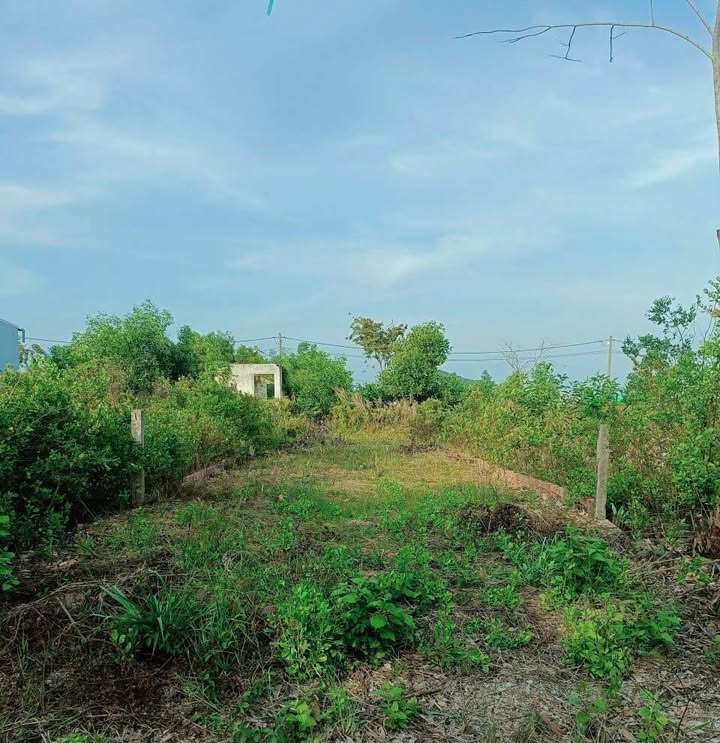 Đất nền khu 45ha Hà Tiên 100m² giá 500 triệu - Cơ hội đầu tư tuyệt vời!