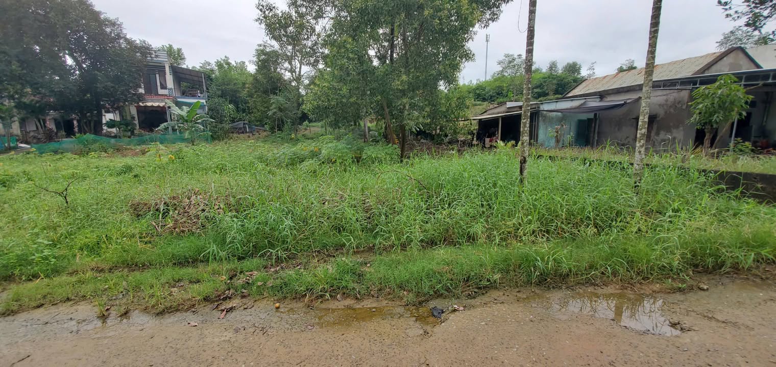 Đất Hòa Liên Đà Nẵng 153m² giá 1.45 tỷ - Cơ hội đầu tư tuyệt vời!