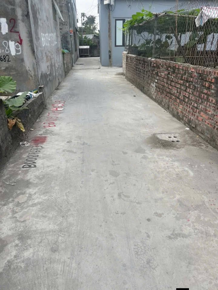 Lô đất đường 203, phường An Đồng 50m² giá 1 tỷ - Đầu tư sinh lời ngay!