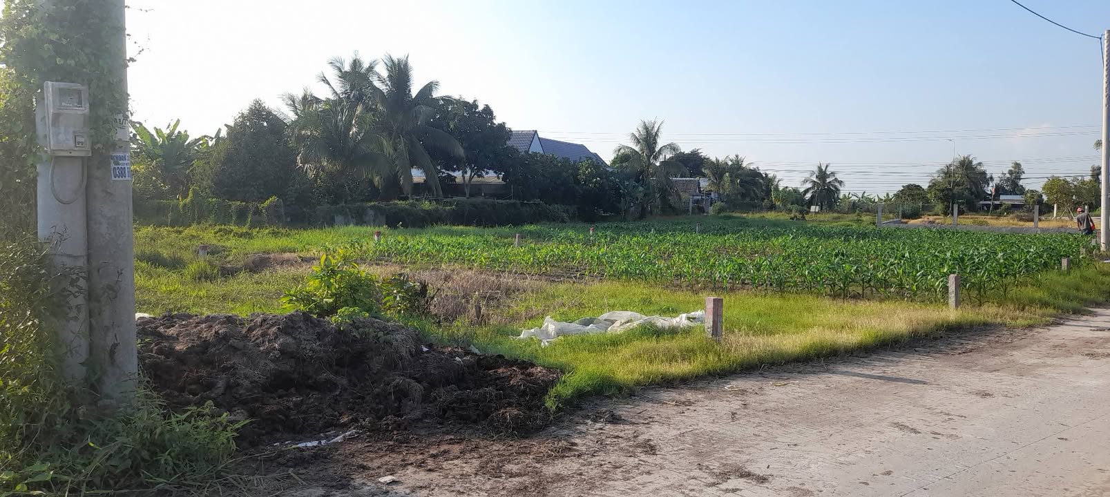 Đất nền Thạnh Lộc 170m² giá 550 triệu - Đầu tư sinh lời ngay!