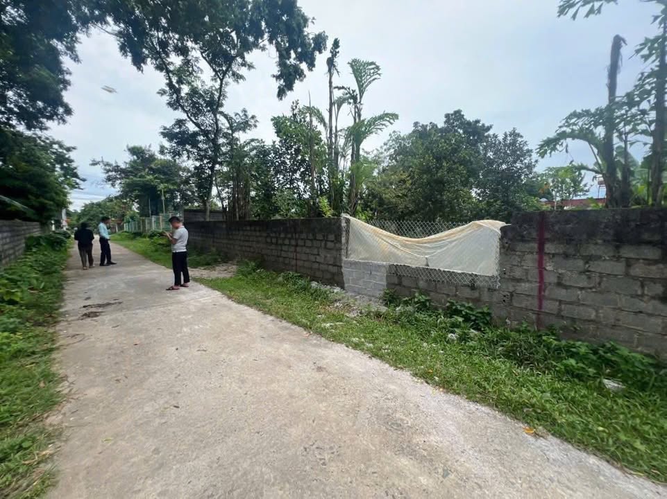 Đất nền Đồng Sương - Liên Sơn 100m² giá 1 tỷ - Vị trí đắc địa cho đầu tư!