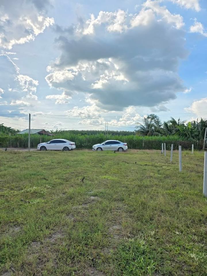 Đất thổ cư 150m² xã Phan, Tây Ninh chỉ 350 triệu - Đầu tư sinh lời ngay!