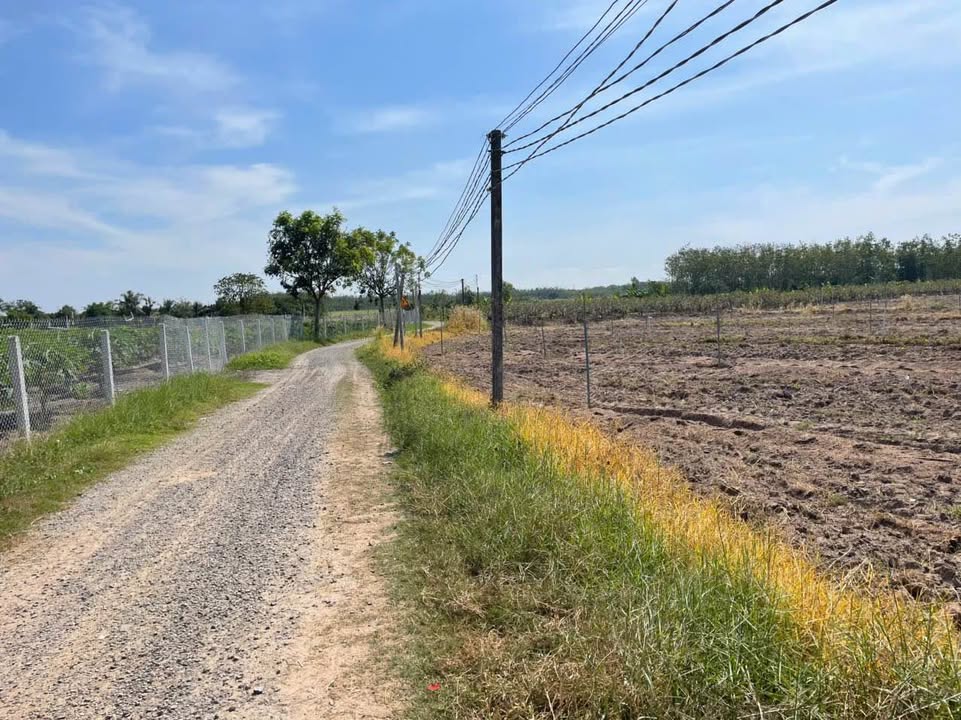 Đất nền ấp Tân Hòa, xã Tân Bình, TP Tây Ninh 1247m² - Giá chỉ 73.2 tỷ