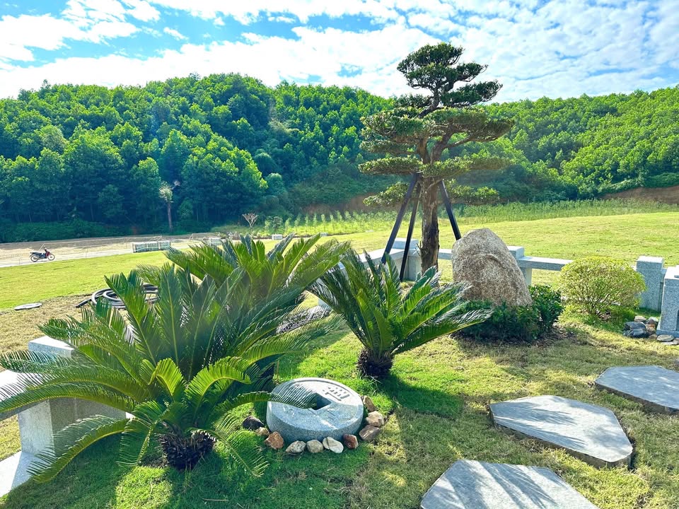 Đất nghĩa trang tại Xã Lang Quán, Yên Sơn 30m² giá 375 triệu - Phong thủy tốt, đầu tư an nhàn!