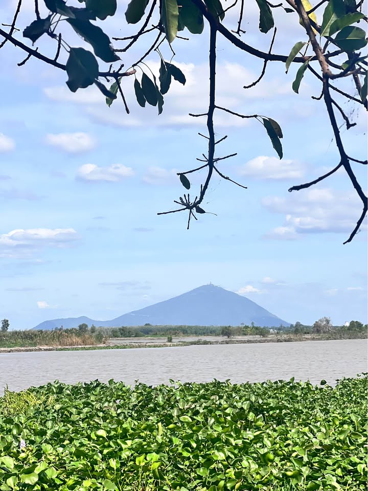 Nhà riêng Long Hoa, Hòa Thành, Tây Ninh 883m² giá 2.2 tỷ - Đầu tư lý tưởng!