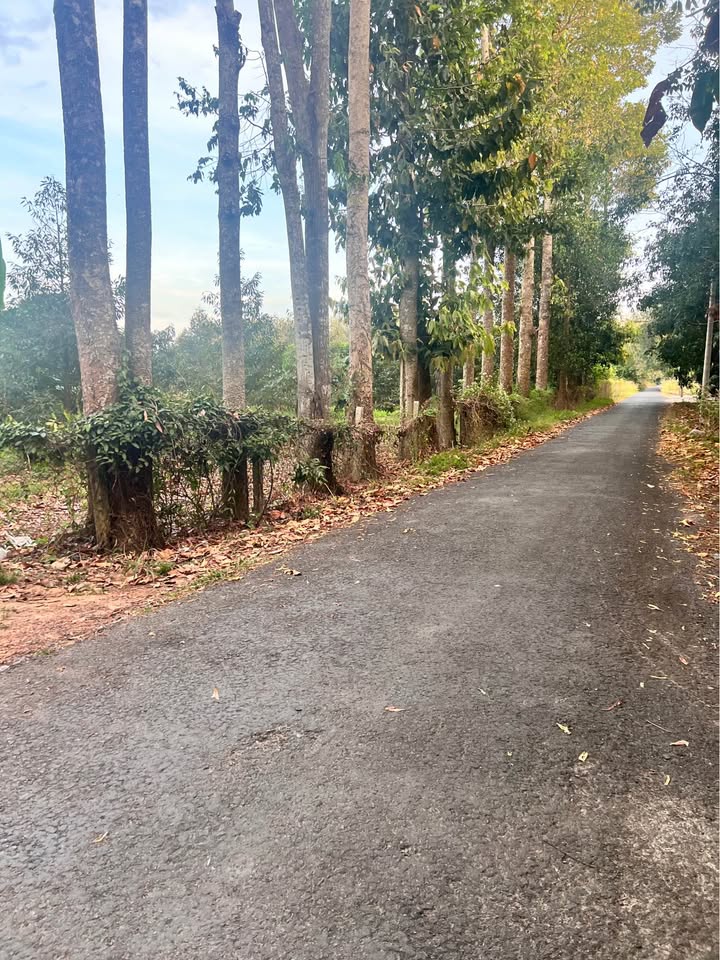 Đất nghỉ dưỡng Long Hoa, Tây Ninh 2700m² giá 3.915 tỷ - Tiềm năng đầu tư lớn!