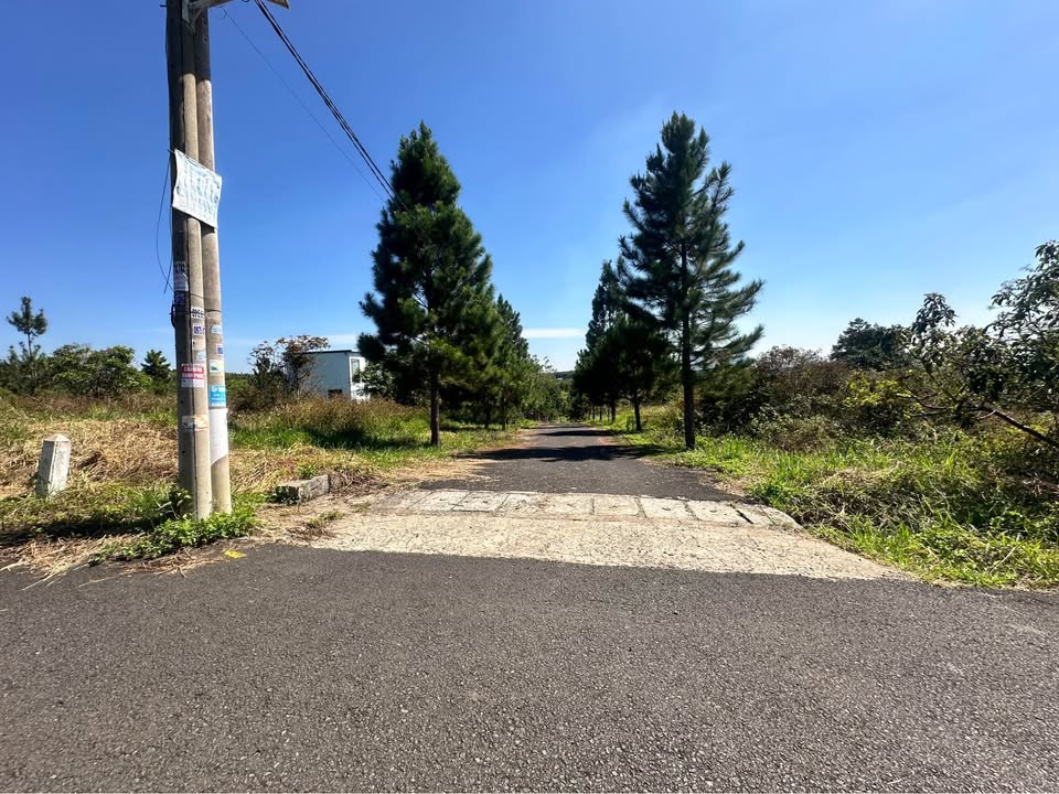 Đất nền 2 mặt tiền Hẻm 134 Phùng Hưng Bảo Lộc 250m² giá 2.5 tỷ - Cơ hội đầu tư sinh lời!