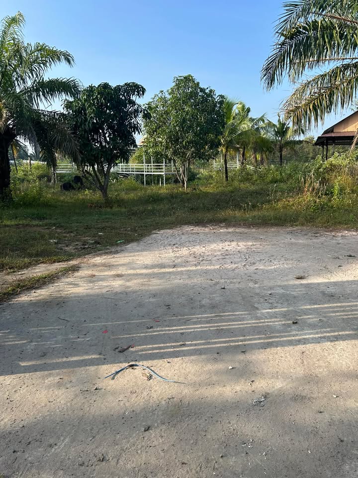 Đất nền Xuân Bắc 13.680m² giá chỉ 850 triệu - Cơ hội đầu tư tuyệt vời!