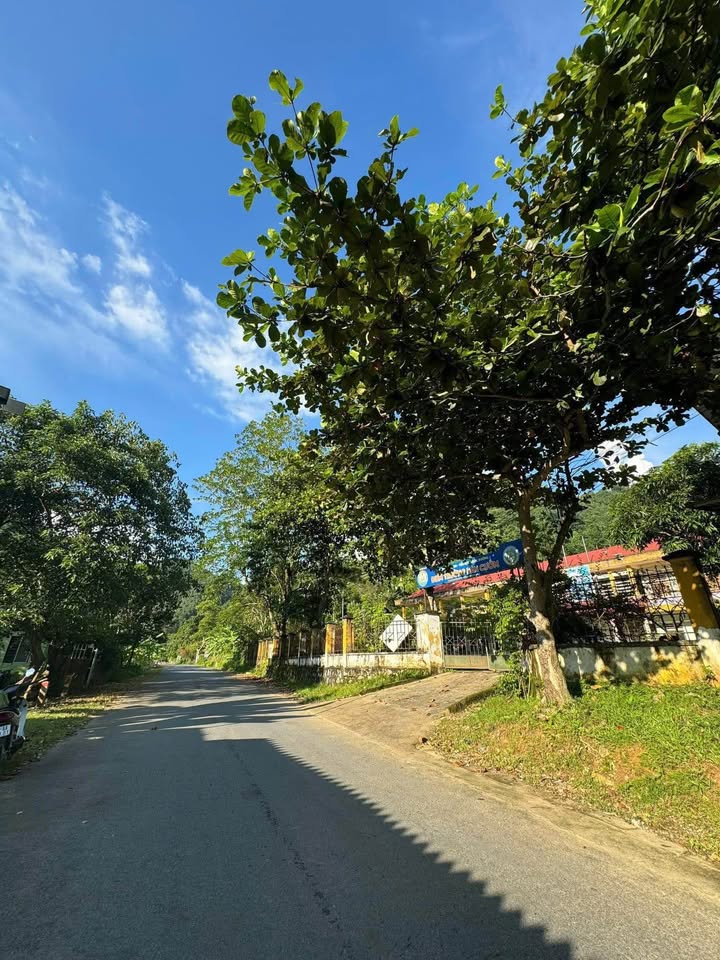 Đất nền Ngọc Đường, Hà Giang 160m² giá 390 triệu - Thích hợp kinh doanh!