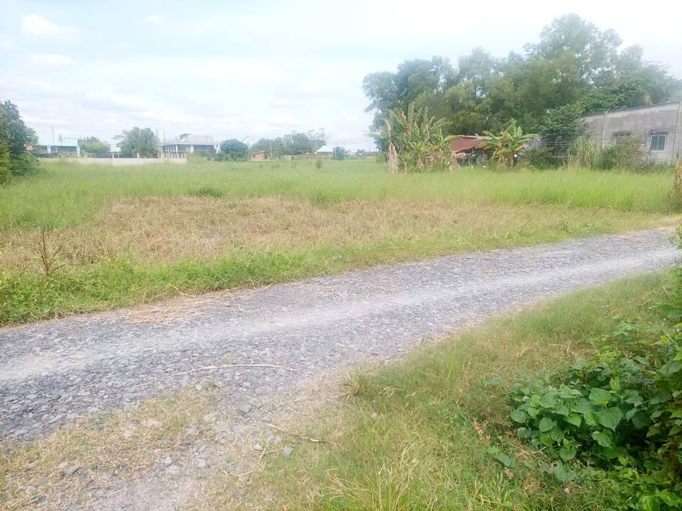 Đất ở đô thị Hậu Nghĩa, Đức Hòa 1015m² chỉ 2.6 tỷ - Giá ngợp không thể bỏ qua!