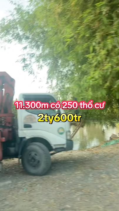 Đất nền xã Trường Long Tây, Cần Thơ 11.300m² giá 2.6 tỷ - Sổ hồng ngay lập tức!