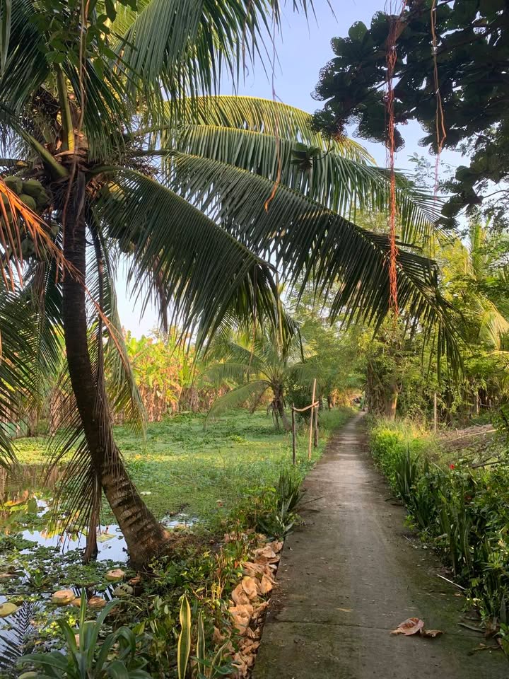 Đất vườn 10221m² tại ấp Kinh Hãng B, Cà Mau - Giá chỉ 3.9 tỷ