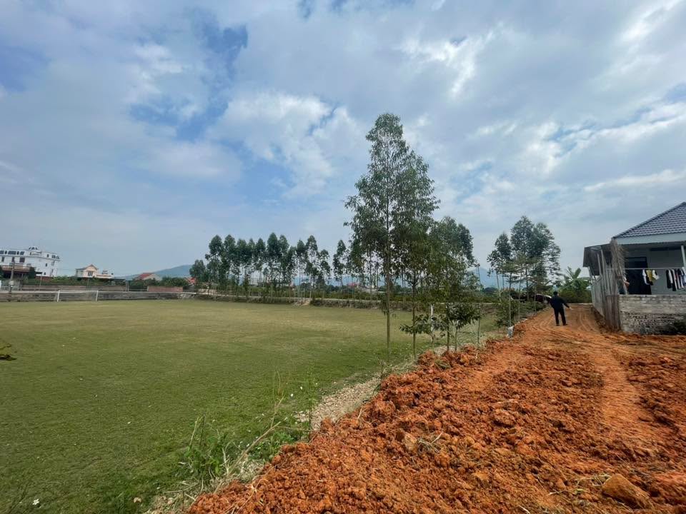 Lô đất vườn Nghĩa Phương Lục Nam 700m² - Đầu tư sinh lời tiềm năng!