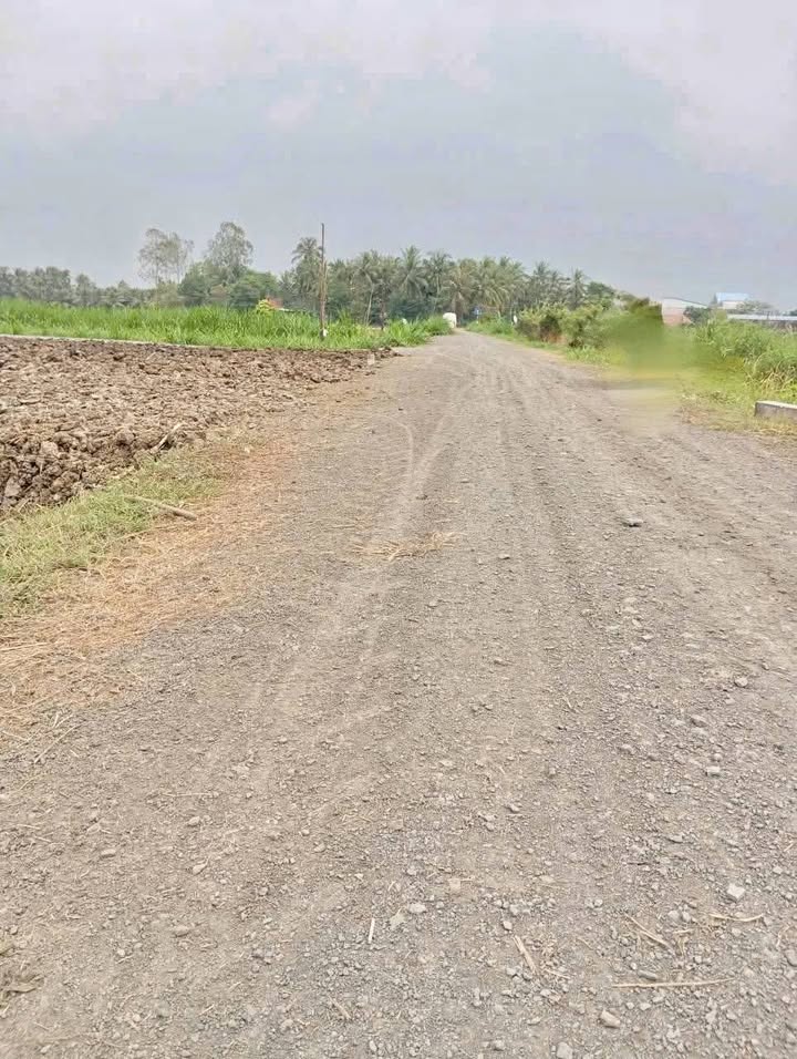 Đất thổ cư Gò Công Tây 220m² giá 295 triệu - Cơ hội đầu tư hấp dẫn!