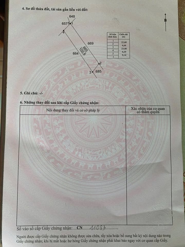 Đất nền đường 3 Lục Bình, Phước Lâm, Cần Giuộc 105m² giá 700 triệu - Cơ hội đầu tư hấp dẫn!